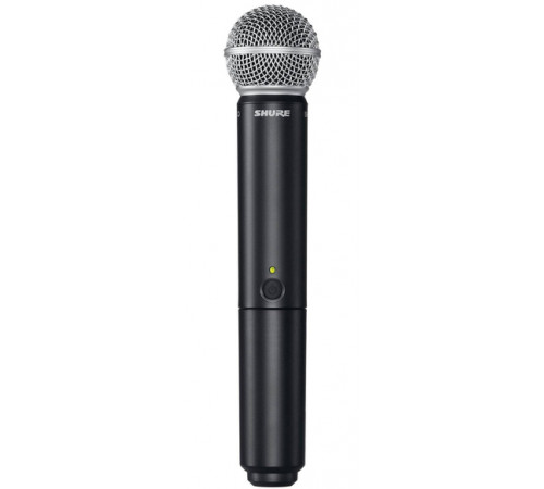 Радиосистема Shure BLX288E/PG58 M17