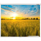 Проекционный экран Lumien Eco Picture 178x280 LEP-100124