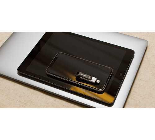 USB Flash SanDisk iXpand Go 64GB SDIX60N-064G-GN6NN