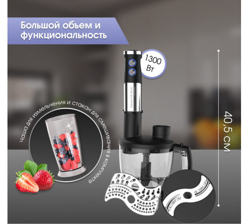 Блендер Zigmund & Shtain BH-350 M