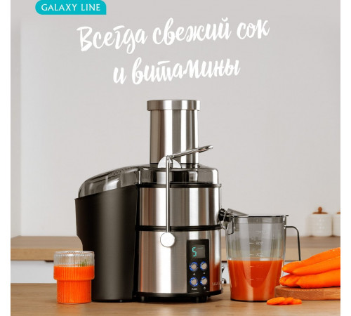 Соковыжималка Galaxy Line GL0808