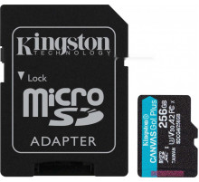 Карта памяти Kingston Canvas Go! microSDXC 256GB SDCG4/256GB (с адаптером)