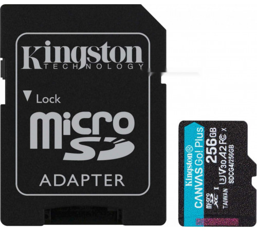 Карта памяти Kingston Canvas Go! microSDXC 256GB SDCG4/256GB (с адаптером)