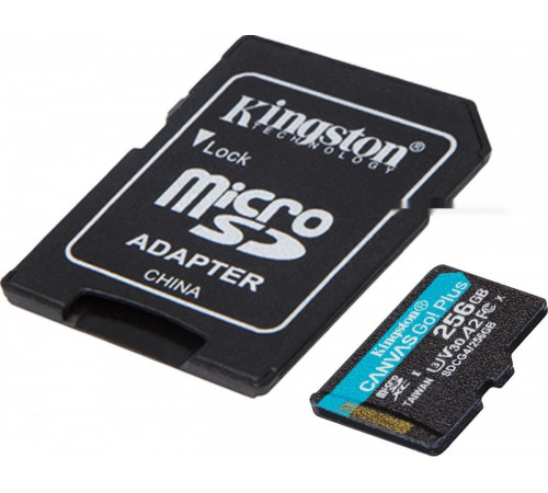 Карта памяти Kingston Canvas Go! microSDXC 256GB SDCG4/256GB (с адаптером)