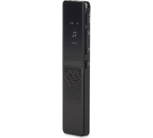 Диктофон DIGMA DiVoice RV70