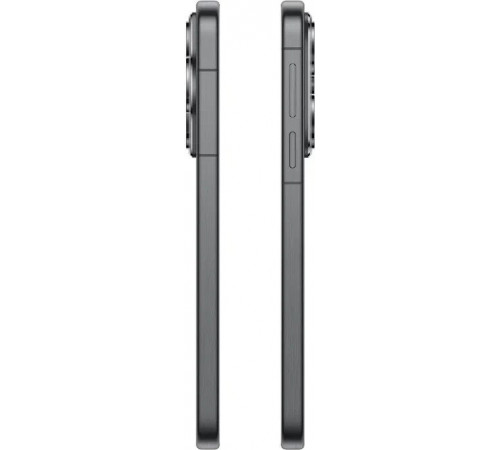 Телефон Huawei Pura 80 HED-LX9 12GB/256GB (черный)