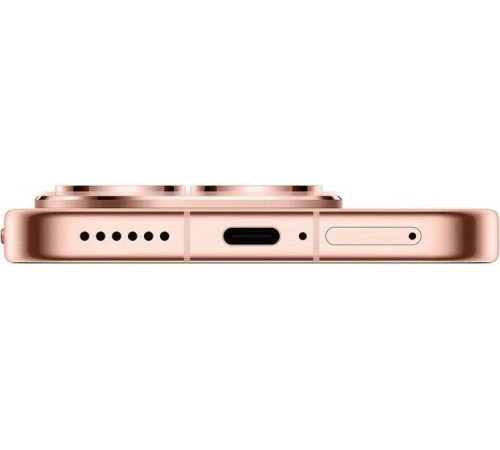 Телефон Huawei Pura 80 HED-LX9 12GB/256GB (золотой)