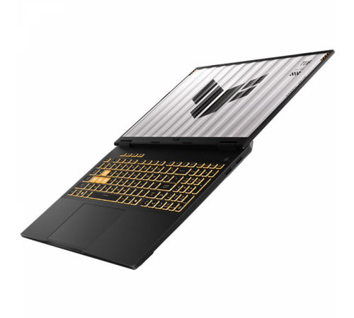Ноутбук Asus TUF Gaming F16 FX608JMI-TU254