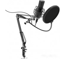 Микрофон Ritmix RDM-180