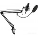 Микрофон Ritmix RDM-180