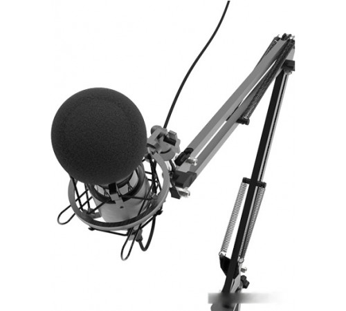 Микрофон Ritmix RDM-180