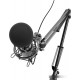 Микрофон Ritmix RDM-180