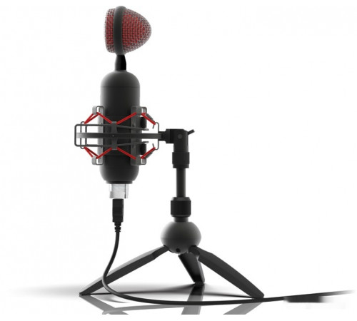 Микрофон Ritmix RDM-230 USB Eloquence