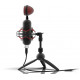 Микрофон Ritmix RDM-230 USB Eloquence