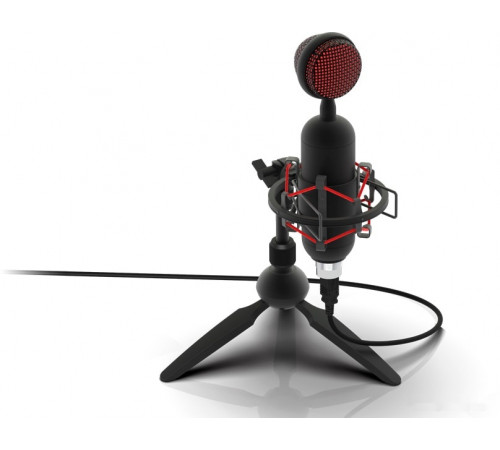 Микрофон Ritmix RDM-230 USB Eloquence