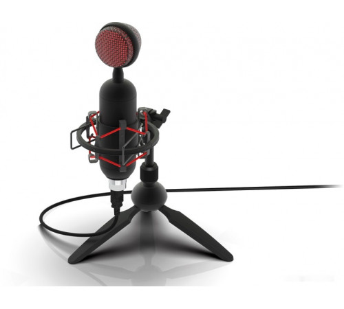 Микрофон Ritmix RDM-230 USB Eloquence