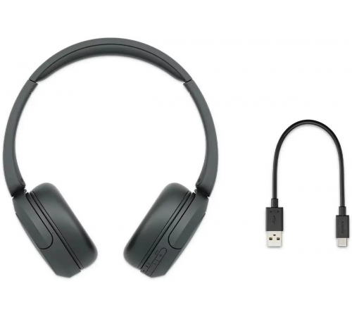 Наушники Sony WH-CH520 (черный)
