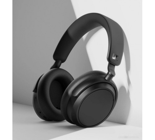 Наушники Sennheiser Accentum Plus (черный)
