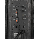 Акустическая система DIALOG AP-2500