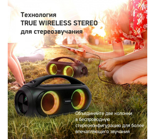 Портативная акустика DIGMA D-PS1530