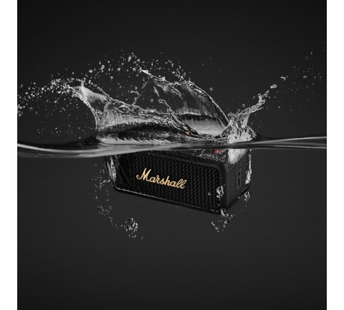 Портативная акустика Marshall Emberton III (черный/латунь)