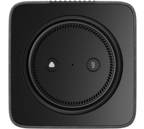 Умная колонка Яндекс Станция Макс (с хабом умного дома Zigbee, графит)