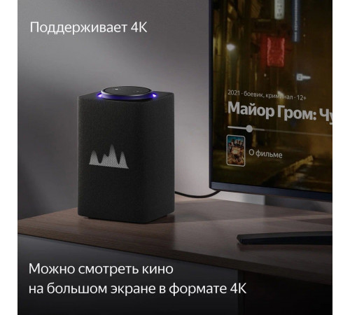Умная колонка Яндекс Станция Макс (с хабом умного дома Zigbee, графит)