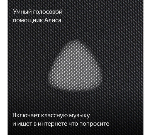 Умная колонка Яндекс Станция Макс (с хабом умного дома Zigbee, графит)