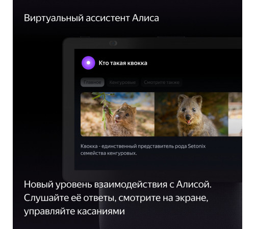 Колонка с умным дисплеем Яндекс Станция Дуо Макс (черный)