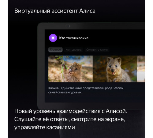 Колонка с умным дисплеем Яндекс Станция Дуо Макс (зеленый)