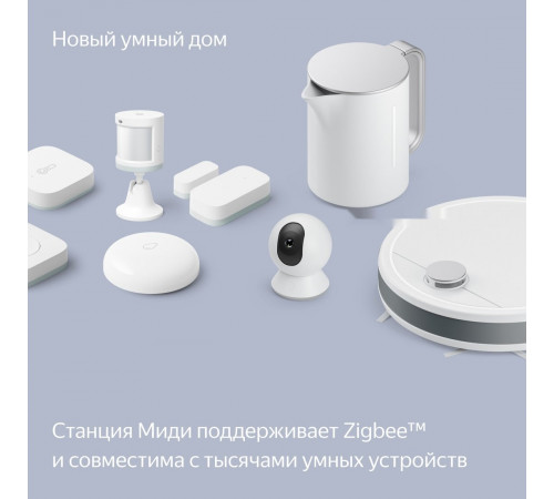 Умная колонка Яндекс Станция Миди (малиновый)