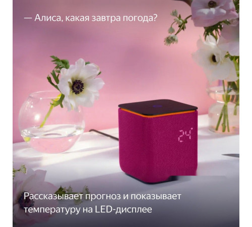 Умная колонка Яндекс Станция Миди (малиновый)