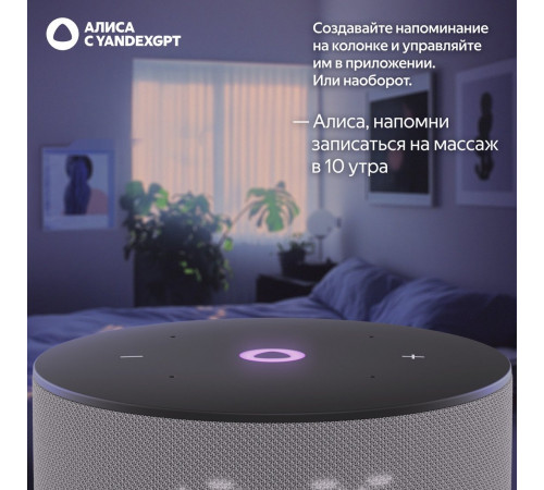 Умная колонка Яндекс Станция Мини 3 с часами (серый)