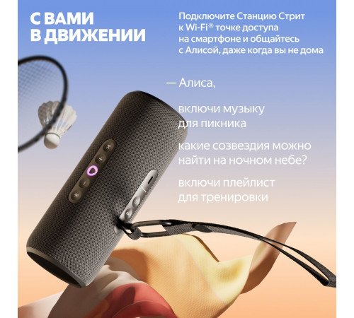 Умная колонка Яндекс Станция Стрит (черный)
