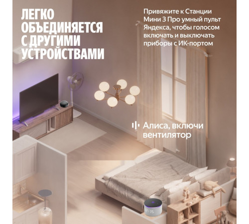 Умная колонка Яндекс Станция Мини 3 Про (серый)