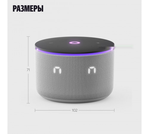 Умная колонка Яндекс Станция Мини 3 Про (серый)
