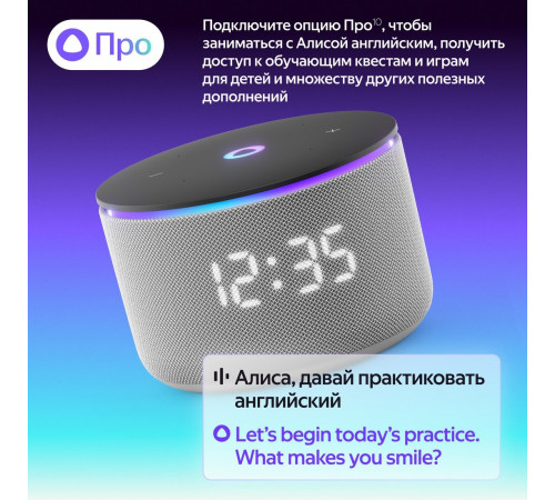 Умная колонка Яндекс Станция Мини 3 Про (серый)