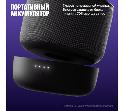 Умная колонка Яндекс Станция Мини 3 Про (серый)