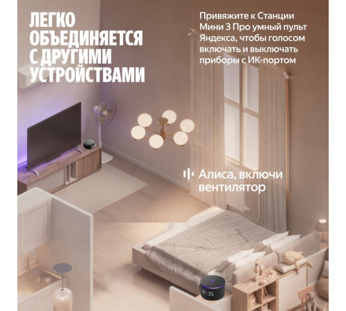 Умная колонка Яндекс Станция Мини 3 Про (черный)