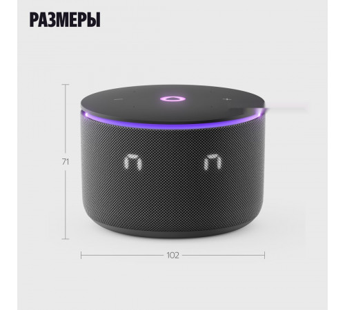 Умная колонка Яндекс Станция Мини 3 Про (черный)