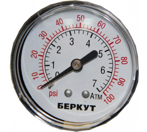 Автомобильный компрессор Беркут R15