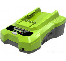 Зарядное устройство Greenworks G24C4 (24В)