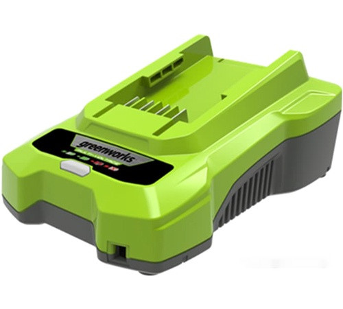 Зарядное устройство Greenworks G24C4 (24В)