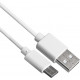 Ирригатор Revyline RL 410 (синий)