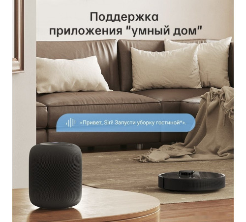Робот-пылесос Dreame Bot D10s Pro (международная версия, черный)