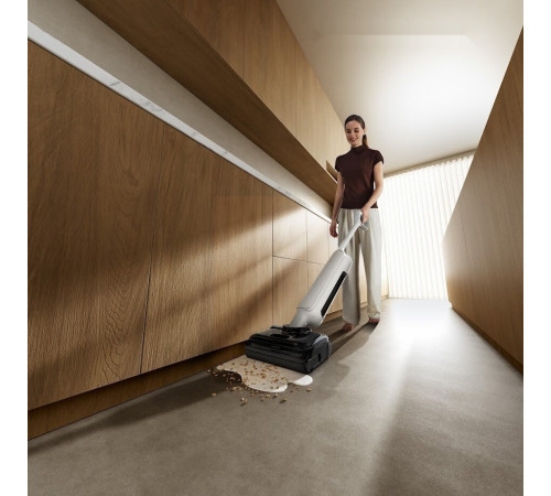 Вертикальный моющий пылесос Xiaomi Truclean W30 Pro Wet Dry Vacuum E303HW (с евровилкой)