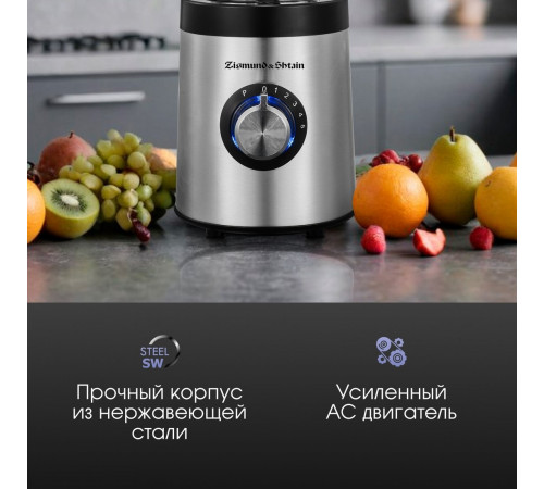 Блендер Zigmund & Shtain BS-481 D