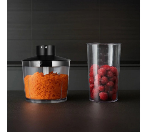 Блендер RED Solution HB2909