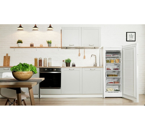 Морозильник Indesit DSZ 4150