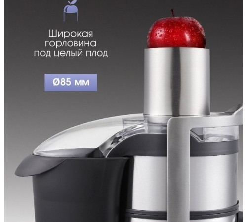 Соковыжималка Zigmund & Shtain EJ-755